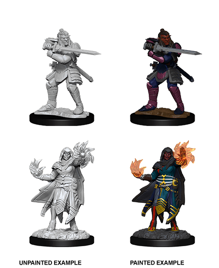 Dungeons & Dragons Nolzur`s Marvelous Unpainted Miniatures: W15 Hobgoblin Fighter Male & Hobgoblin Wizard Female