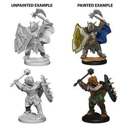 D&D: NOLZUR'S MARVELOUS UNPAINTED MINIATURES -W4-MALE DRAGONBORN PALADIN