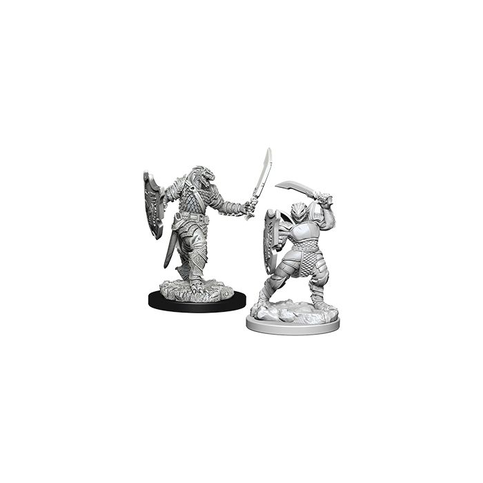 D&D Nolzur's Marvelous Unpainted Miniatures: W5-FEMALE DRAGONBORN PALADIN