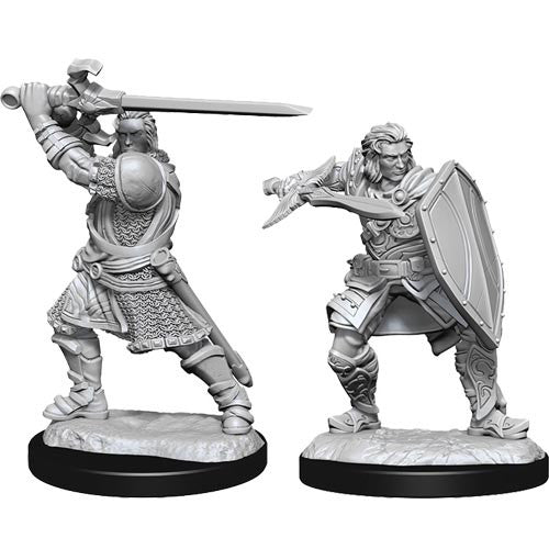 D&D Nolzur's Marvelous Unpainted Miniatures: W14 Male Human Paladin