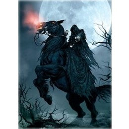 Deck Protector Sleeves - 50ct - Rider