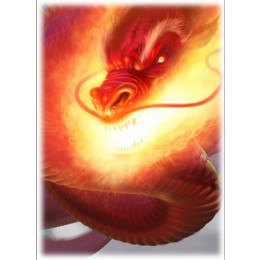 Deck Protector Sleeves - 50ct - Inferno