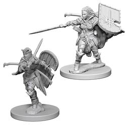 PATHFINDER: DEEP CUTS UNPAINTED MINIATURES W1 FEMALE HUMAN PALADIN