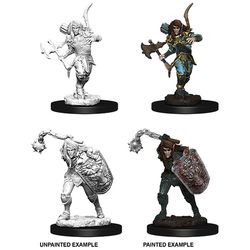 Pathfinder: Deep Cuts Unpainted Miniatures W6 Male Elf Fighter