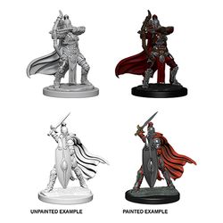 PATHFINDER: DEEP CUTS UNPAINTED MINIATURES W6 FEMALE KNIGHTS