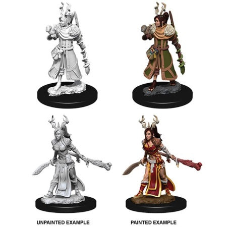 Dungeons & Dragons Nolzur`s Marvelous Unpainted Miniatures: W9 Female Human Druid