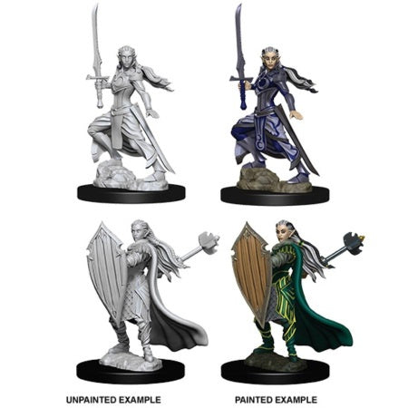 Dungeons & Dragons Nolzur`s Marvelous Unpainted Miniatures: W9 Female Elf Paladin
