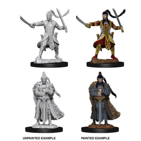 Dungeons & Dragons Nolzur`s Marvelous Unpainted Miniatures: W9 Male Elf Paladin
