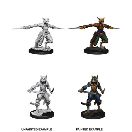 Dungeons & Dragons Nolzur`s Marvelous Unpainted Miniatures: W9 Female Tabaxi Rogue
