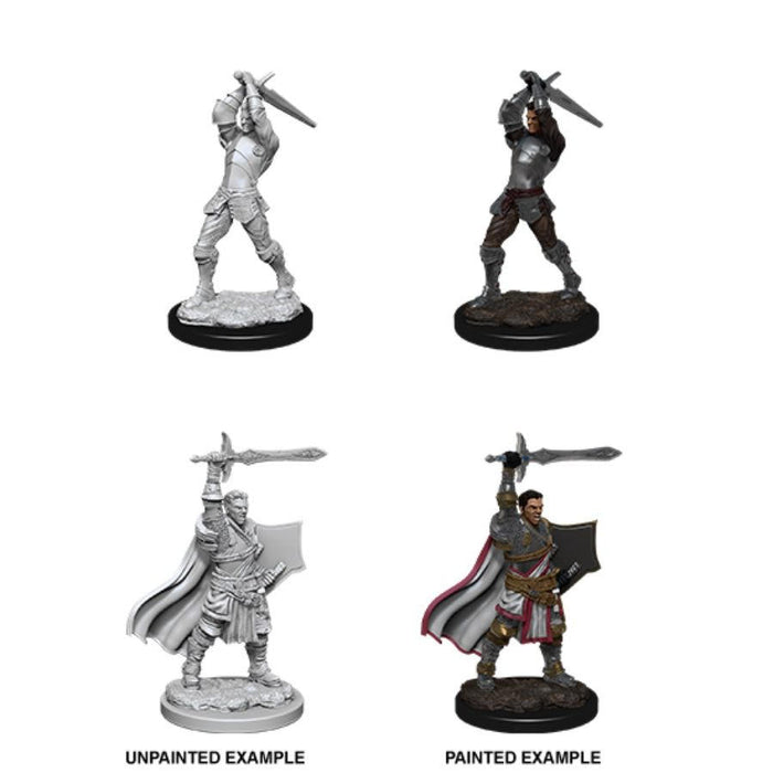 Dungeons & Dragons Nolzur`s Marvelous Unpainted Miniatures: W12 Male Human Paladin