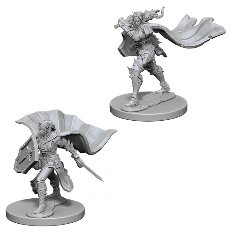 Pathfinder Deep Cuts Unpainted Miniatures: W4 Elf Female Paladin