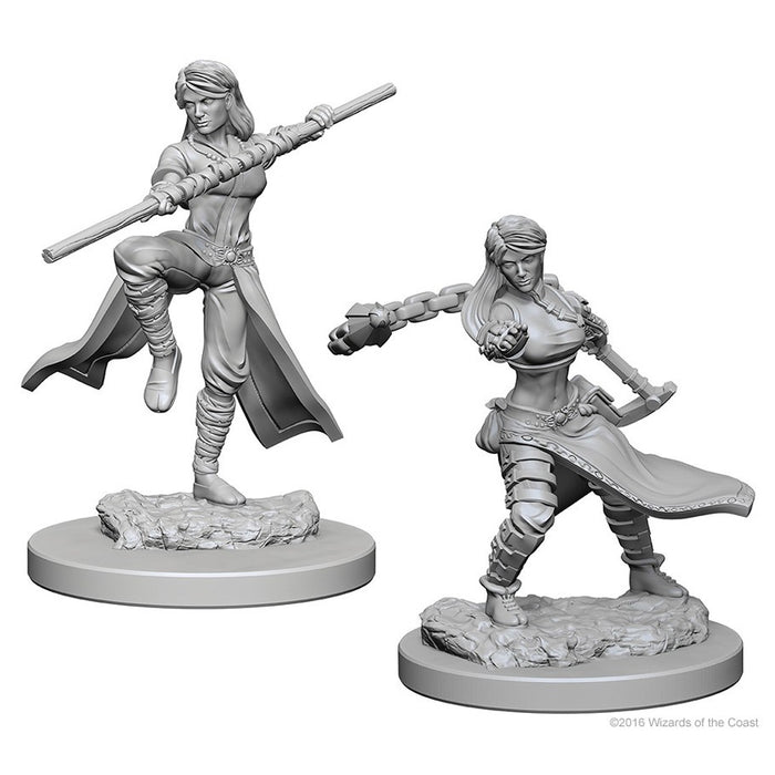 D&D Nolzur's Marvelous Unpainted Miniatures: W1 Human Female Monk