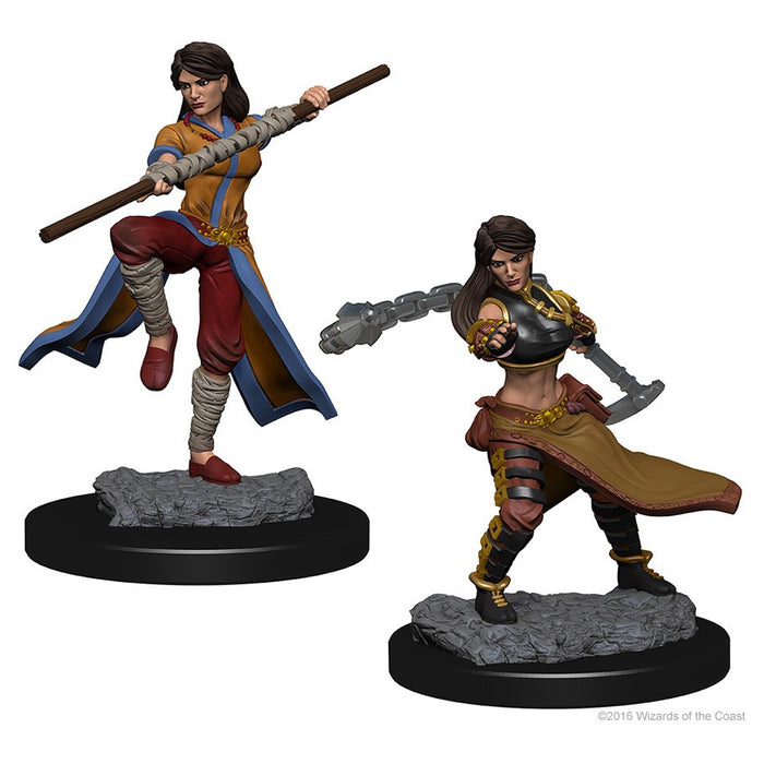 D&D Nolzur's Marvelous Unpainted Miniatures: W1 Human Female Monk