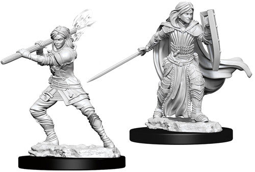 D&D Nolzur's Marvelous Unpainted Miniatures: Female Human Paladin